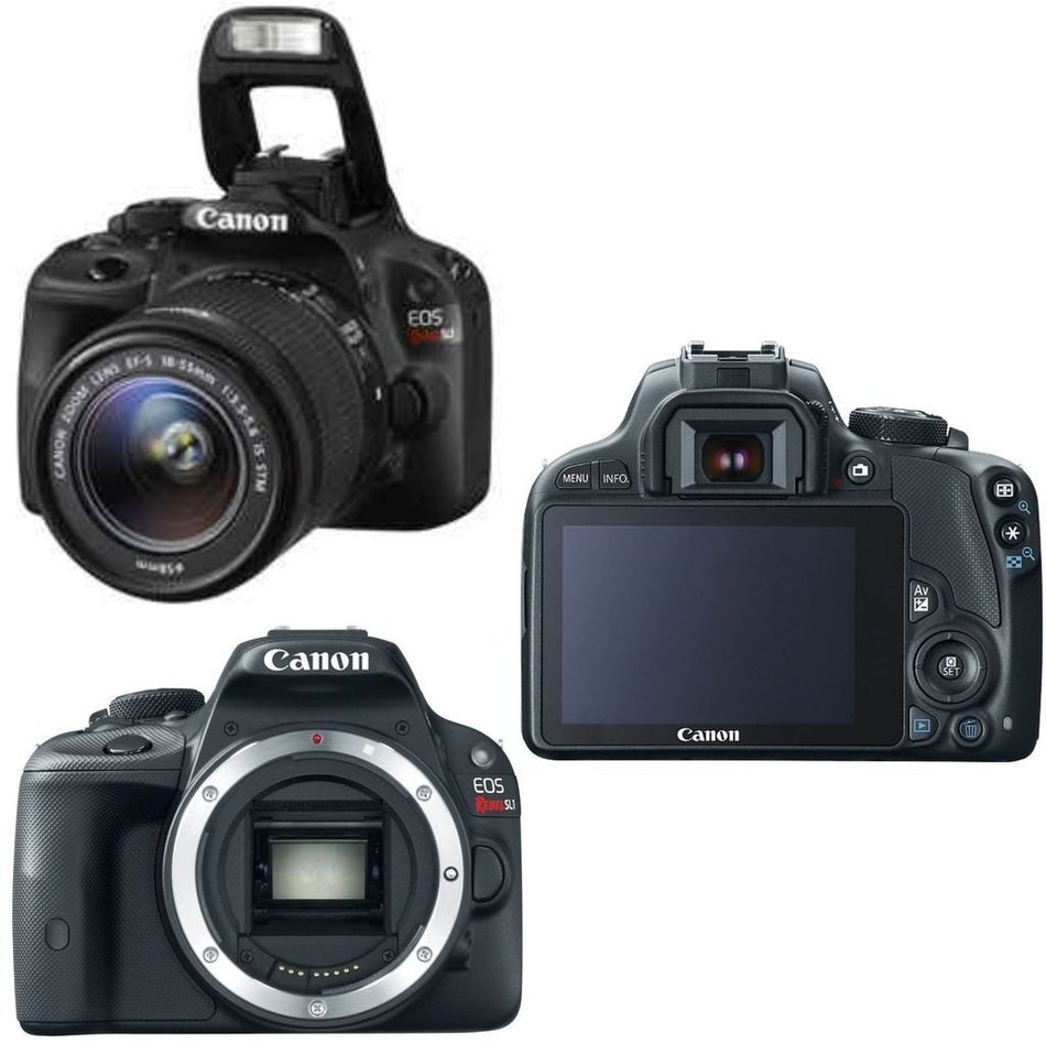 Canon EOS REBEL SL1 + Canon 18-135mm f/3.5-5.6 STM Standard Zoom Lens + 75-300mm f/4-5.6 III+ 2 32GB Transcend... N3