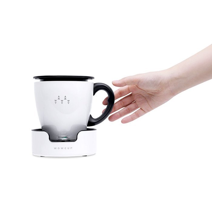 WOWCUP Compact Size, Powerful Steam Cleaner, Sterilizer, Sanitizer N5