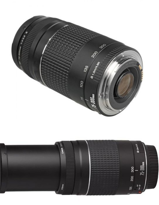 Canon EOS REBEL SL1 + Canon 18-135mm f/3.5-5.6 STM Standard Zoom Lens + 75-300mm f/4-5.6 III+ 2 32GB Transcend... N4