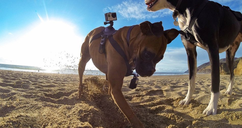 GoPro Hero4 Hero 4 12MP Full HD 4K 30fps 1080p 120fps Built-In Wi-Fi Waterproof Wearable Camera Black Adventure... N32
