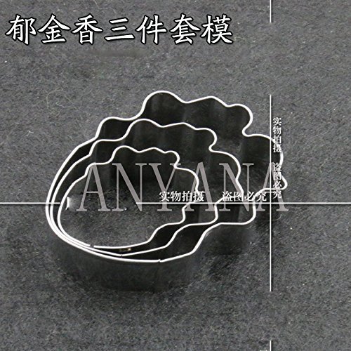 Anyana 3Pc Cutter Set Cake Fandant Flower Icing Tulip Petal Stainless Steel Parrot Mold