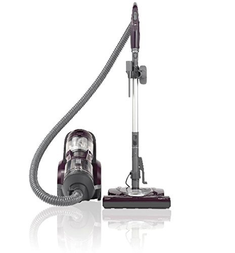 Kenmore Bagless Canister Lightweight Vacuum Cleaner, Blueberry 22614 N2