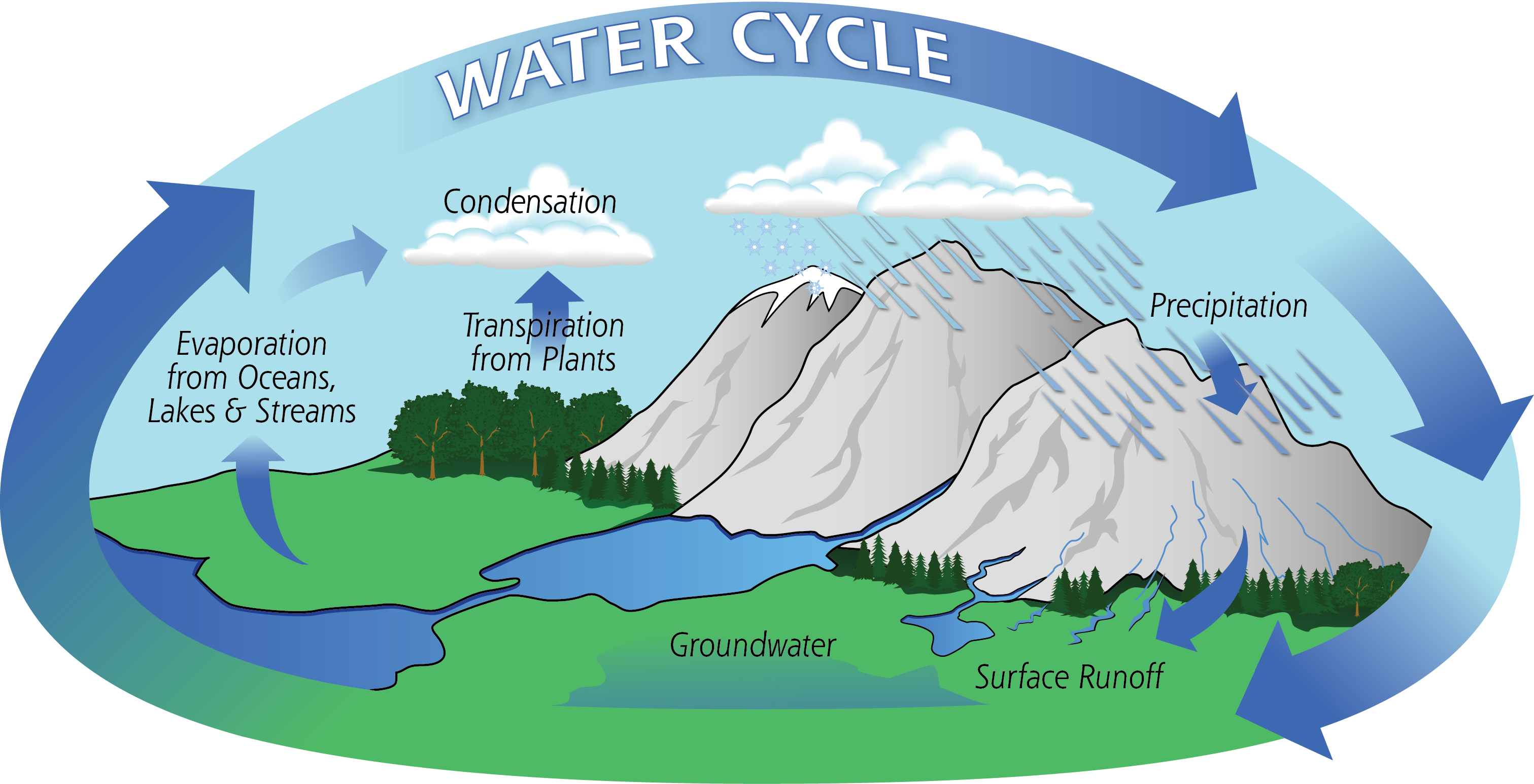 Image result for water cycle