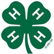 4 H Clover Clip Art