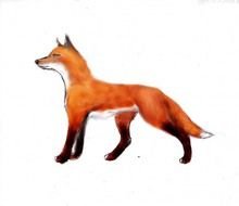 Red Fox Sketch