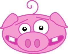 Cartoon Pig as a graphic illustration