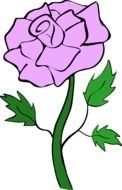 Purple Rose drawing
