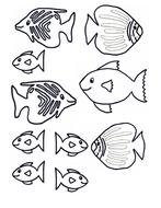 Black and white drawing of the different fishes