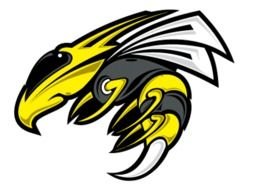 Hornet as a graphic illustration