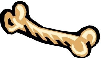 Dog Bone at black background drawing