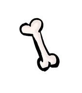 Dinosaur Bones Clip Art