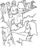 Zacchaeus Coloring Page