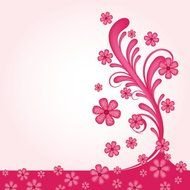 Vector Graphics