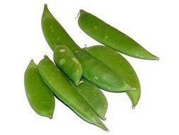 green leaves of a mushroom plant