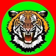Green Tiger drawing