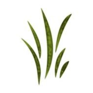 Green Leaf Clip Art N4