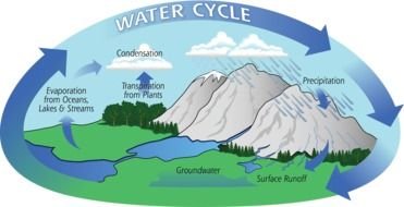 Water Cycle chart drawing