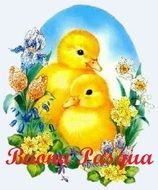 BUONA PASQUA CARTOLINE GIF CARD E WALLPAPER DI AUGURI