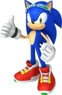 cool hedgehog, Sonic Riders Character