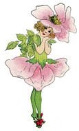 Graphic Fairy Flowers drawing