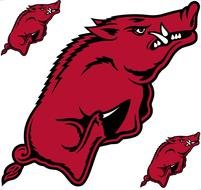 Arkansas Razorbacks