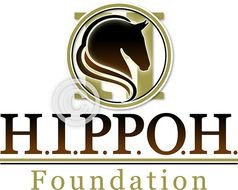 Horse Head Logo Design