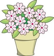 Plant Potted Flower Clip Art