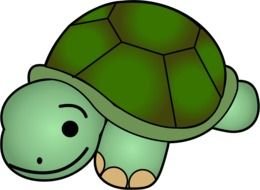 Cute Turtle Clip Art N2