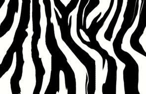 rectangle zebra pattern