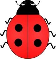 Ladybug With No Spots Clip Art