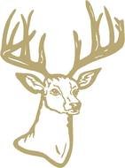 Deer Head Graphics drawing