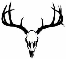 Deer Skull Antler Clip Art N2