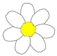 Daisy as a graphic illustration