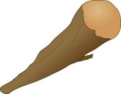 wooden Club at black background, Clip Art