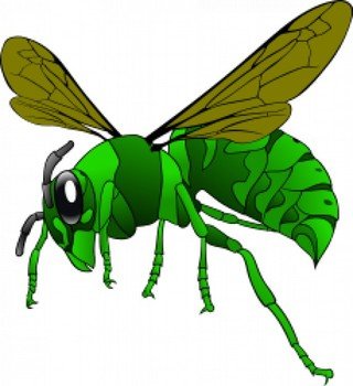 Green Hornet Kostenlose Vektoren