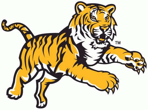 Cartoon Tiger N2