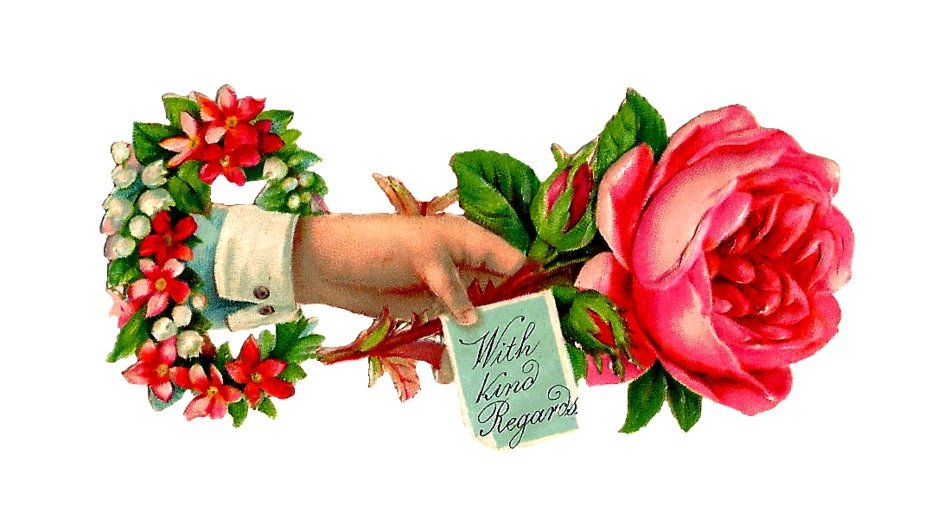 rose on a vintage image as a picture for clipart