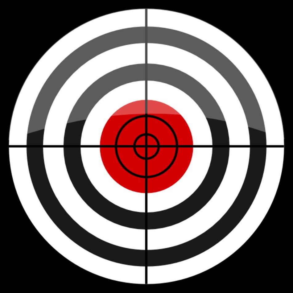 Bulls Eye Target