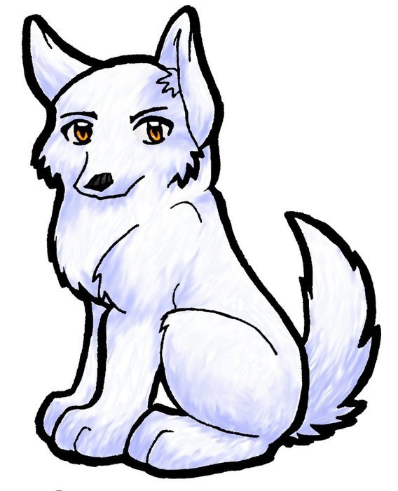 İllustration of white Wolf