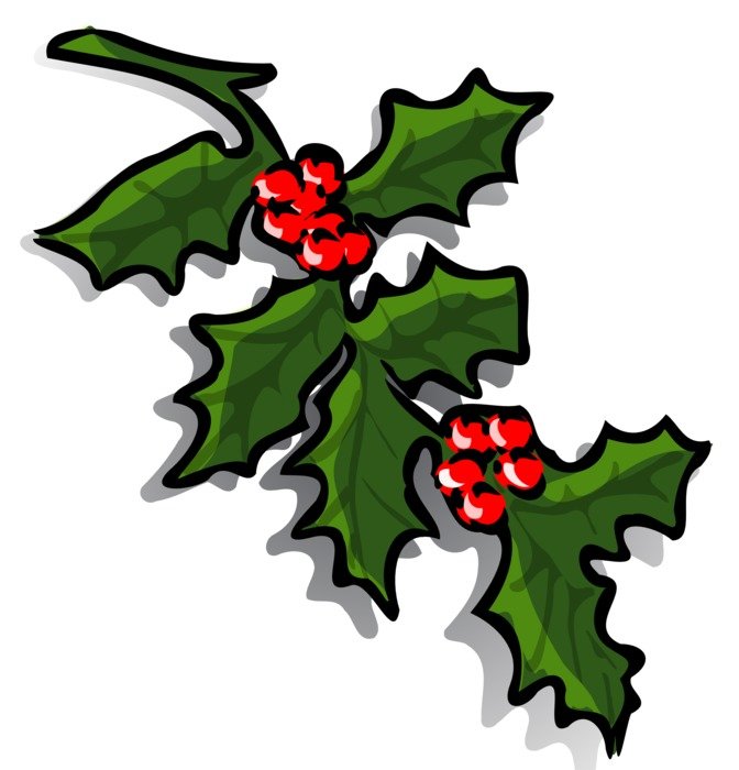 branch for christmas as a picture for clipart