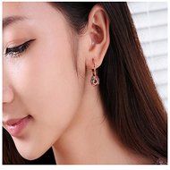 Lovely Korean Women Colorful Crystal Rhinestone Ball Ear Stud Hoop Earrings FT56 N2