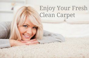 Carpet Cleaning Solution SUPER Concentrated Deep Cleaning Non Sticky Professional Strength Carpet Cleaner &amp; Deodorizer... N4