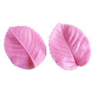 YIJIA 2Pcs/Set Leaf Shape Press Silicone Mold Cake Decoration Mould Baking Pastry Tools N3
