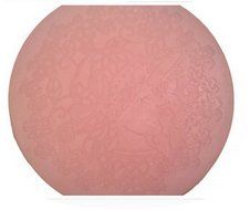 Oasis Supply Romantic Lace, Silicone