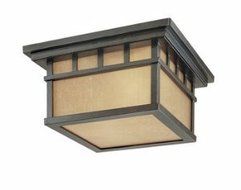 Outdoor Flushmount Ceiling Light Fixture by Dolan Designs