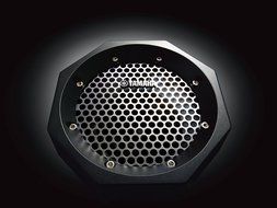 Yamaha PDX-B11 Portable Bluetooth Speaker System (Black) N6