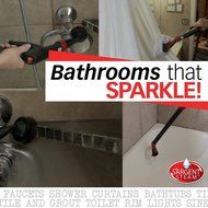 Sargent Steam Cleaner BRZ2 Portable Multi-Purpose High Pressure Dry Vapor Steamer Machine with Attachments N4