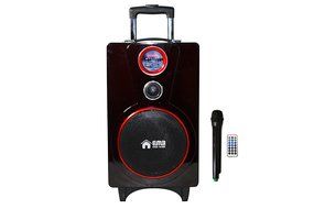 EMB PK82 RED Color 800W 8" Portable Professional Rechargeable BOOM Box Speaker N2