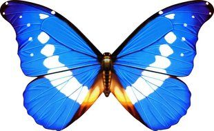 Pre Cut 85 Mixed Edible Butterflies 24 designs 21mm Wafer Paper Cupcake Cake Toppers