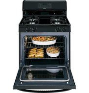 4.8 Cu. Ft. Gas Range N2
